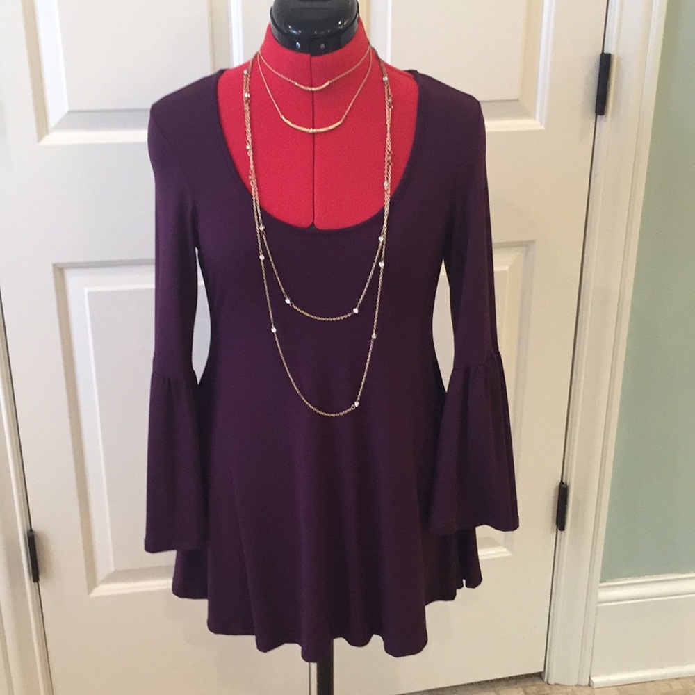 Tunic Top/Dress NWOT